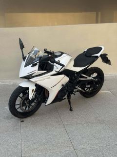 Kayo 250RR Thornbird - ფოტო 3