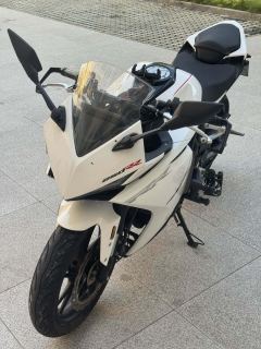Kayo 250RR Thornbird - ფოტო 6