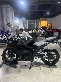 Kayo 250RR Thornbird - ფოტო 2