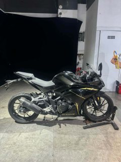 Kayo 250RR Thornbird - ფოტო 3