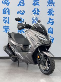 QJMOTOR Hong 250 - ფოტო 3