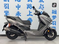 QJMOTOR Hong 250 - ფოტო 4