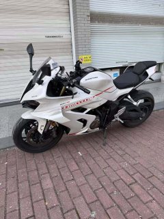 QJMOTOR Sai 600 680 cc - фото 4