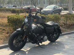 Harley-Davidson Forty-Eight athlete 1200 cc - photo 6