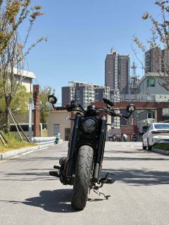 Benda Napoleon 450 - photo 1