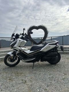 Zontes 368G - ფოტო 1