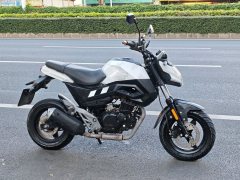 CFMOTO ST Baboon 125 cc - фото 2