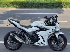Haojue Suzuki GSX250R - photo 2
