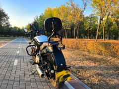 Benda Polestones 03 Gray 300 cc - ფოტო 4