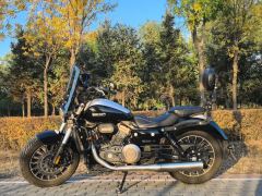 Benda Polestones 03 Gray 300 cc - ფოტო 6