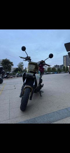 Zongshen Beijing MoFang 150 cc - ფოტო 1