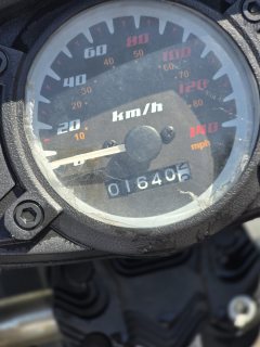 Dual Jinque Sidecar 150 cc - фото 4