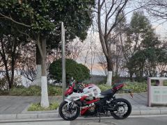 QJMOTOR SRK 250 - ფოტო 4
