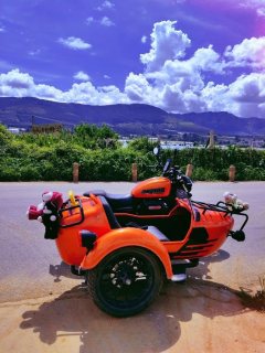QJMOTOR SRV 300+ - ფოტო 1