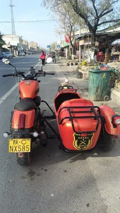 QJMOTOR SRV 300+ - ფოტო 3
