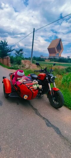 QJMOTOR SRV 300+ - ფოტო 4