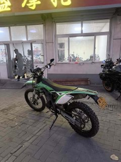 Xinguizun ZH250GY - фото 1