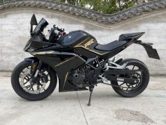 Kayo 250RR Thornbird - ფოტო 1