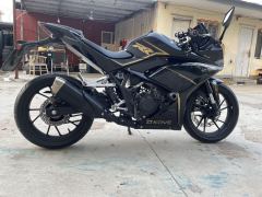 Kayo 250RR Thornbird - ფოტო 2