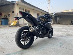 Kayo 250RR Thornbird - ფოტო 3