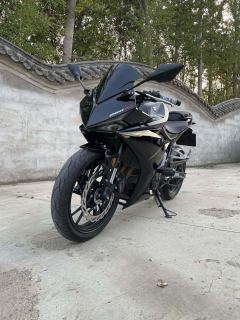 Kayo 250RR Thornbird - ფოტო 4