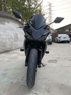 Kayo 250RR Thornbird - ფოტო 7