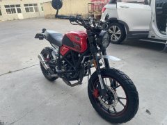 Yingang Iron Fist TR 250 - ფოტო 1