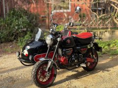 Stoner Monkey 125 Sidecar - ფოტო 3