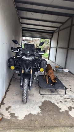 Benelli TRK552 550 cc - photo 2