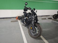 Cyclone RA600 560 cc - ფოტო 1