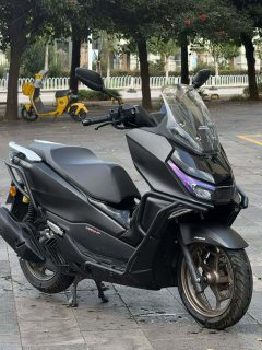 Sundiro Honda NS150GX - ფოტო 6
