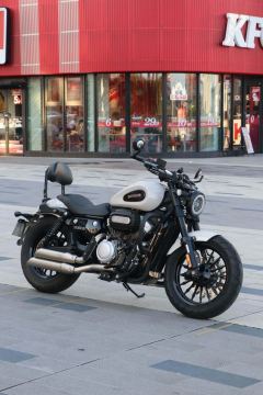 Benda Challenger 300 - photo 2
