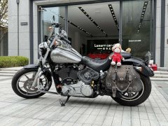 Harley-Davidson Low Rider 1750 cc - ფოტო 2