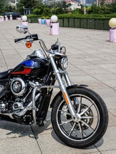 Harley-Davidson Low Rider 1750 cc - ფოტო 6