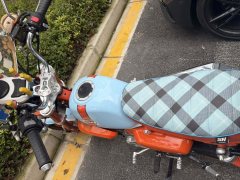 Stoner Monkey 125 cc - ფოტო 2