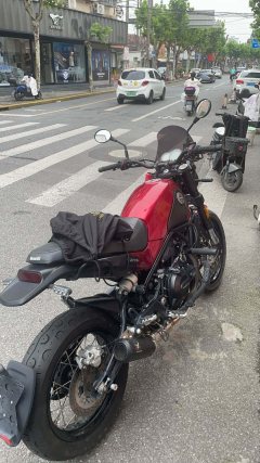 Benelli Lion Cub Leoncino 500 - ფოტო 1