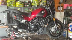 Benelli Lion Cub Leoncino 500 - ფოტო 2
