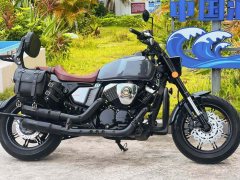 Longjia V Dominator 250 - ფოტო 1