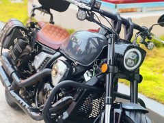 Longjia V Dominator 250 - ფოტო 4