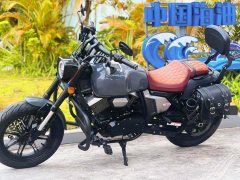 Longjia V Dominator 250 - ფოტო 5