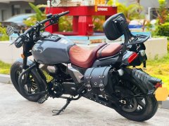 Longjia V Dominator 250 - ფოტო 7