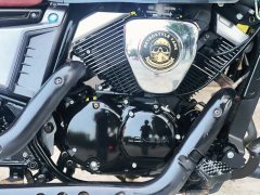 Longjia V Dominator 250 - ფოტო 8