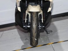 Tairong 250 - photo 12