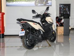 Tairong 250 - photo 7