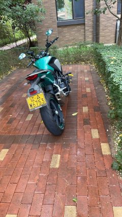 Kayo Cobra 321R 320 cc - ფოტო 3