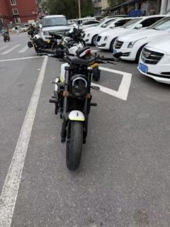 Benelli Young Lion Leoncino 250 - ფოტო 2