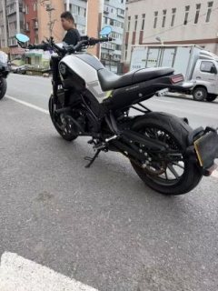 Benelli Young Lion Leoncino 250 - ფოტო 4