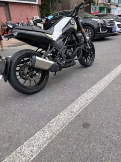 Benelli Young Lion Leoncino 250 - ფოტო 5