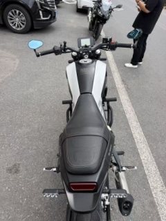 Benelli Young Lion Leoncino 250 - ფოტო 6