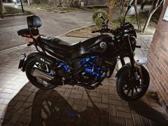 Benelli Young Lion Leoncino 250 - ფოტო 1